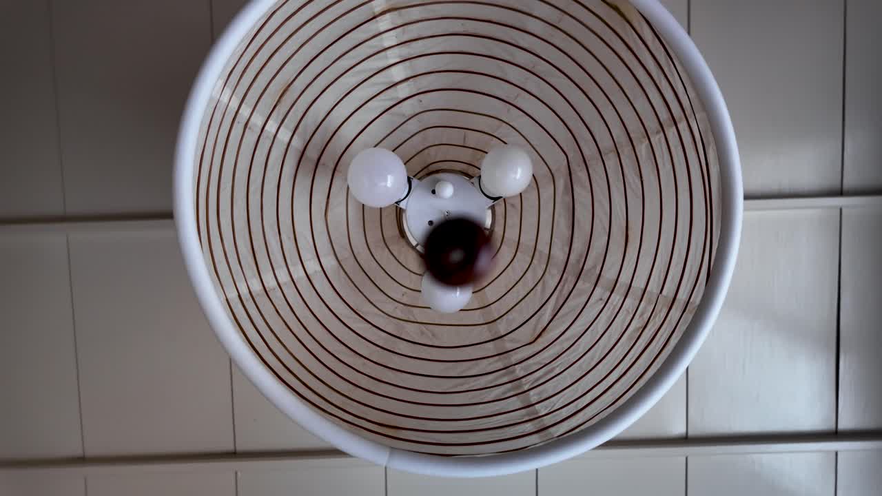 Perspective view of a ceiling lamp showcasing spiraled light shade and glowing bulbs.