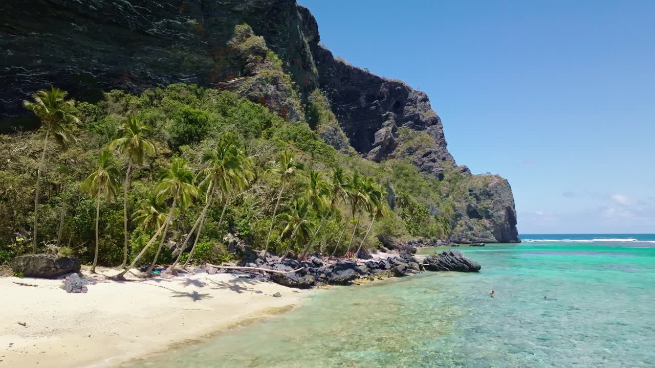 Palme e scogliere a picco a Playa Fronton a Las Galeras, penisola di Samaná, Repubblica Dominicana.