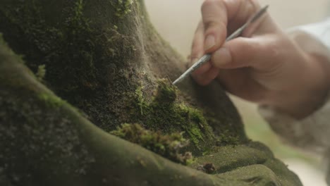 Hand-holding-tool-to-remove-vegetation-from-old-stone-sculpture