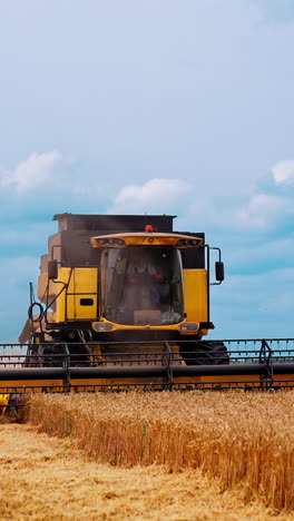 modern combine harvester working in the field. farmer gets on a combine. combine machine is gathering ripe wheat. season of gathering crops. rye and barley. vertical video