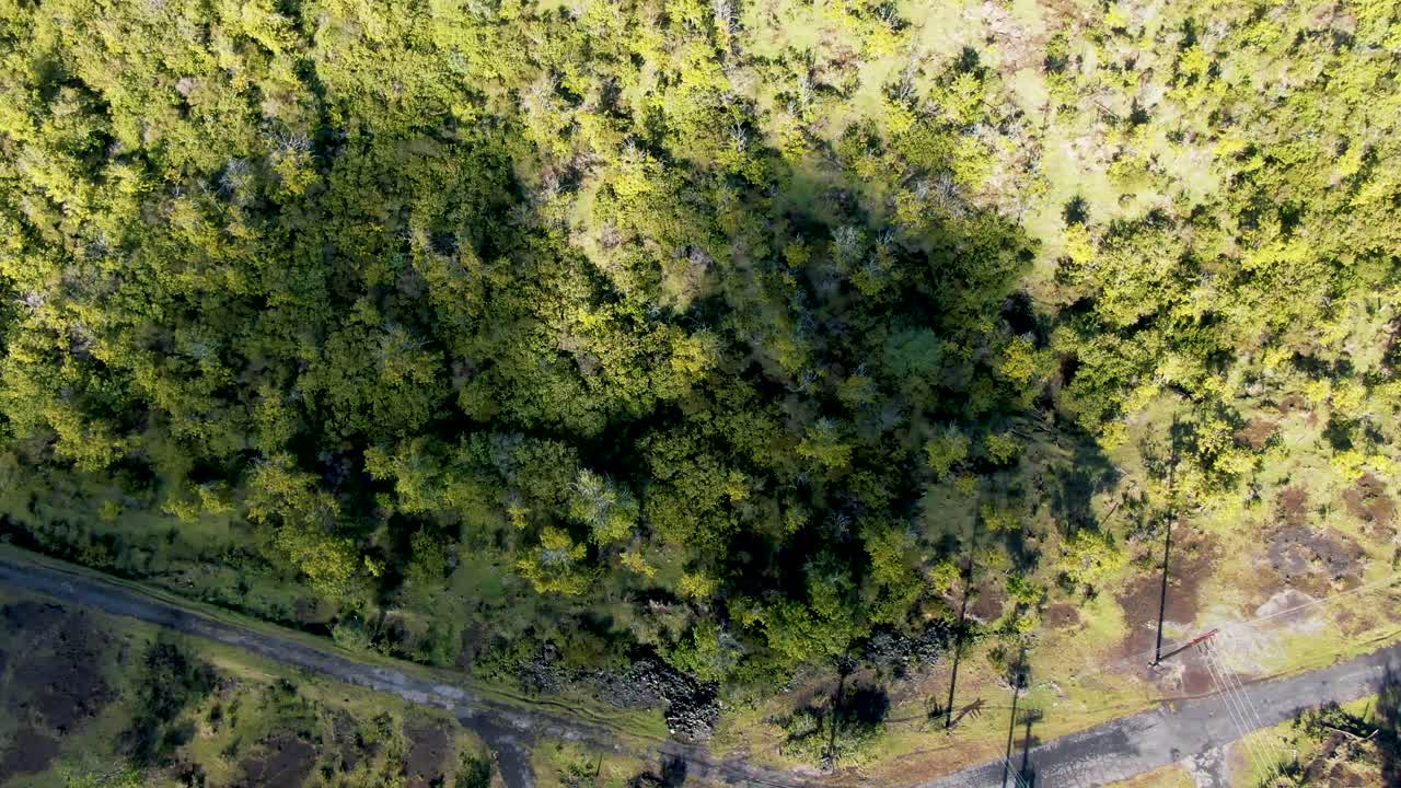 parque nacional de hawai paisaje con bosque sin fin, vista aérea