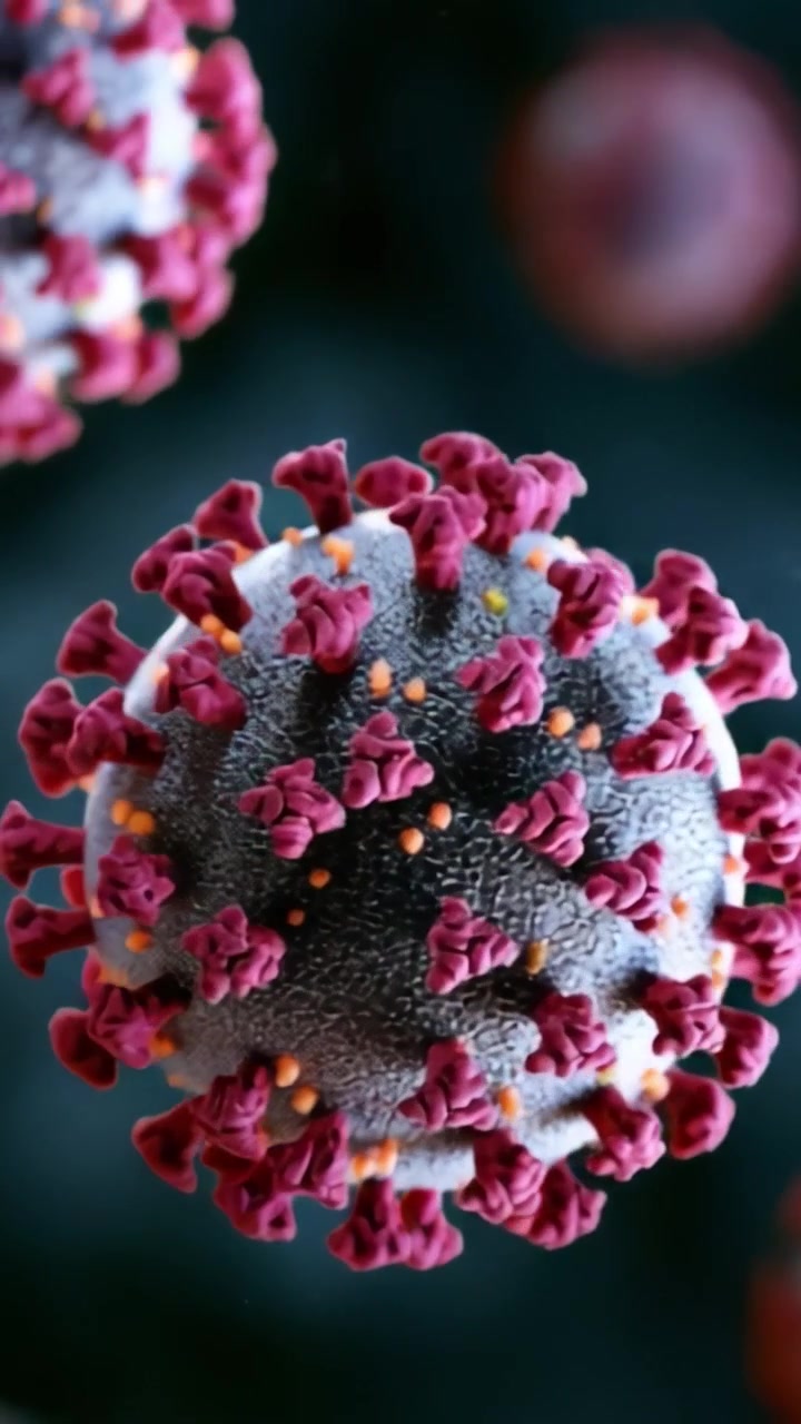 Viste ravvicinate di una particella virale che rivelano intricate strutture superficiali e la composizione genetica, illustrando la complessità dei patogeni microscopici