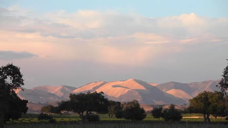 Luz-De-La-Hora-Mágica-En-Una-Hermosa-Colina-Y-Viñedo-En-El-Valle-De-Santa-Ynez-Ava-De-California-S-2