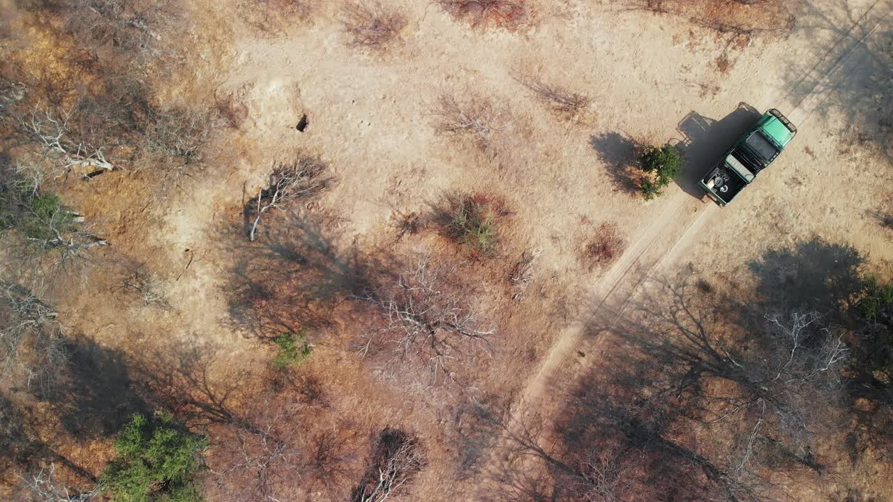 turistas siguiendo las huellas de los neumáticos en un camino de tierra en el desierto de kalahari en áfrica - vista superior