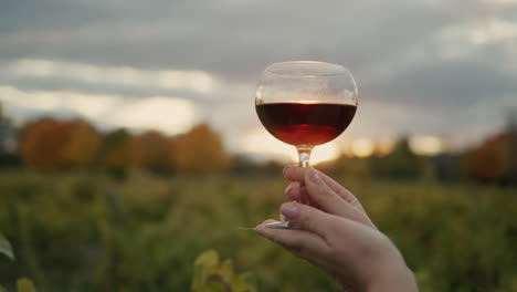 mano con un vaso de vino tinto en frente de la viña donde el sol se pone bellamente