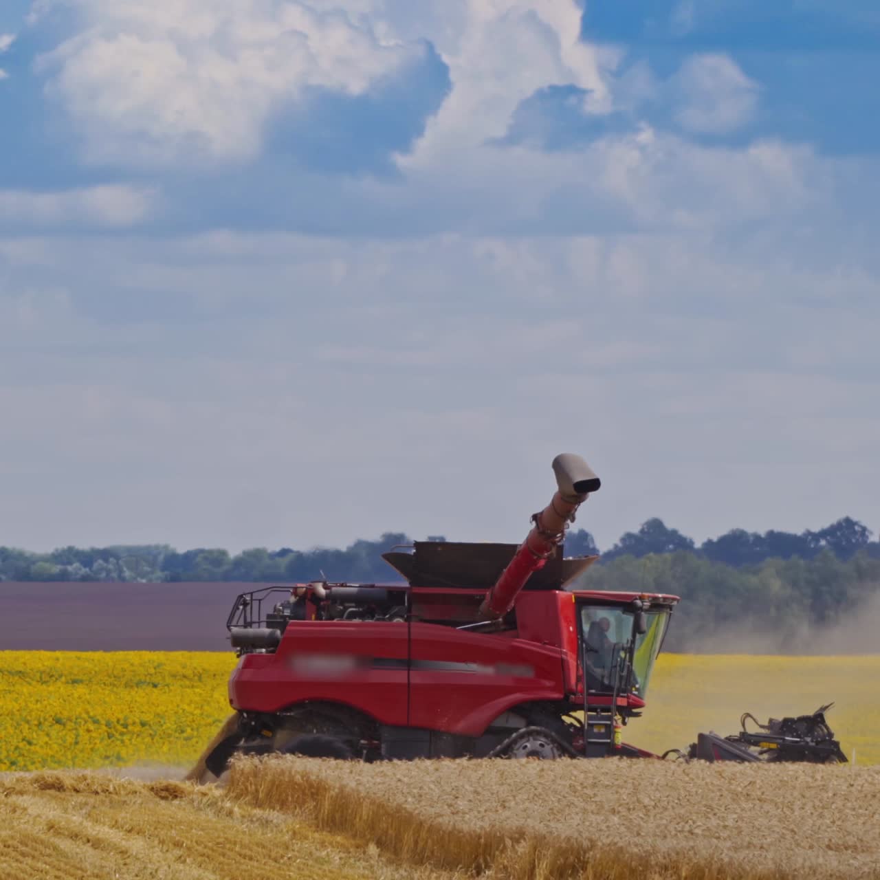 Grain harvesting combine