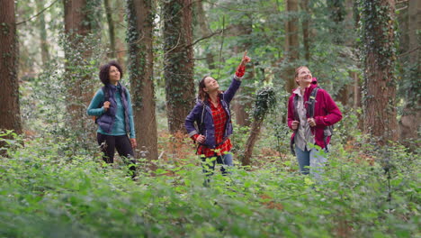 group of young female friends on camping holiday hiking through woods and enjoying nature together