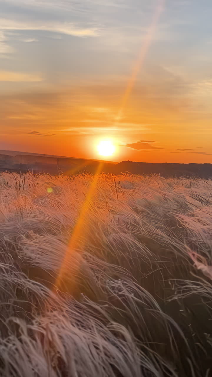 Sunrise or Sunset Over a Field of Grass