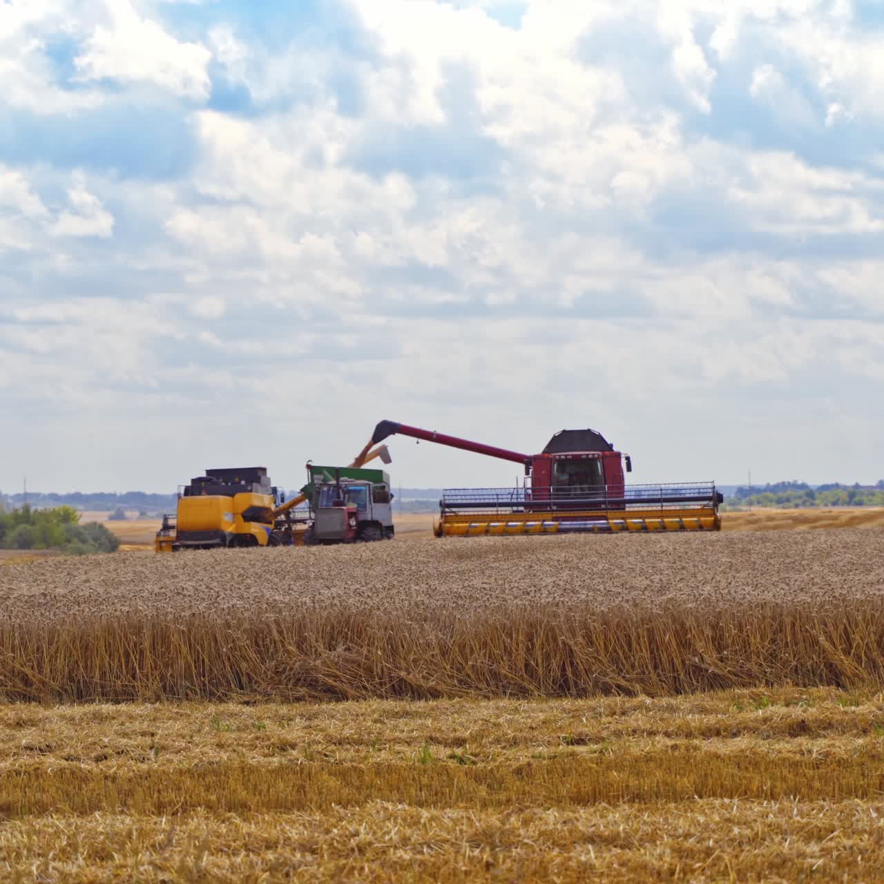 Agricultural machinery on the field. Combine harvester unloading crop into trailer. Two combines and tractors working in summer day.