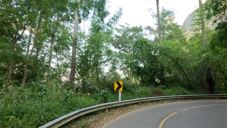 viaje a lo largo de una curva carretera de montaña boscosa
