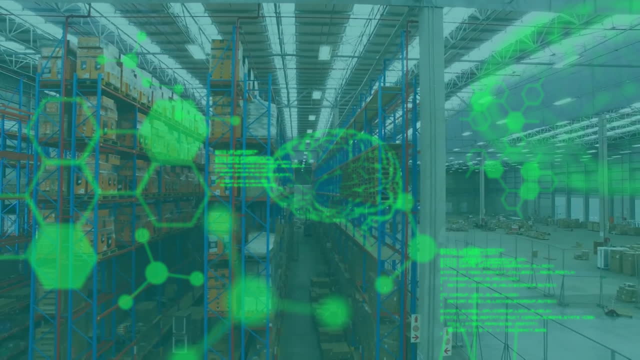 Animation of human brains and scientific data processing