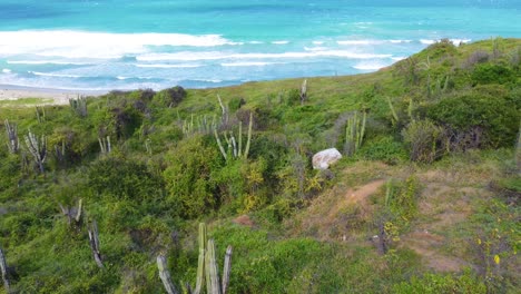 Tayrona-Nationalpark-An-Der-Karibikküste-Kolumbiens