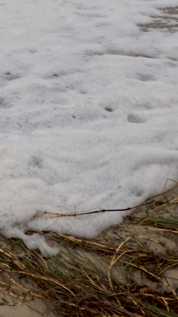 las olas chocan contra una playa, creando espuma y revelando la erosión. la escena captura el movimiento dinámico del agua y el impacto ambiental