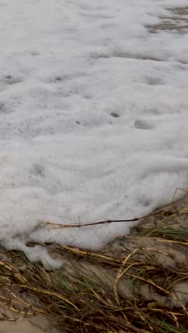 las olas chocan contra una playa, creando espuma y revelando la erosión. la escena captura el movimiento dinámico del agua y el impacto ambiental