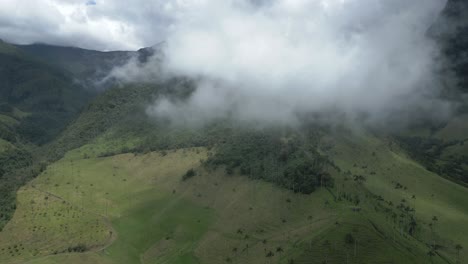 salento, cocora valley, aerial drone flying above cloud forest nevados green protected national park area in andean cordillera of colombia