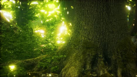 el bosque primitivo con suelo de musgo