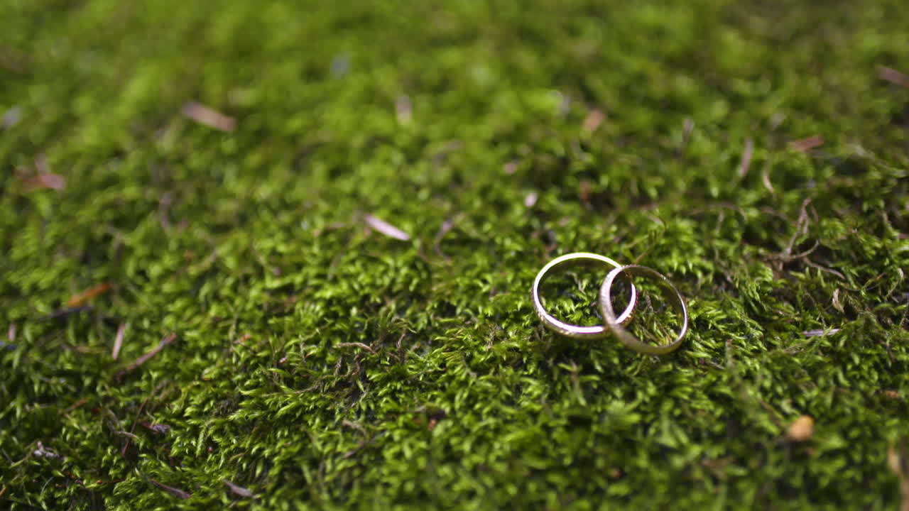 Wedding Rings on Forest Moss
