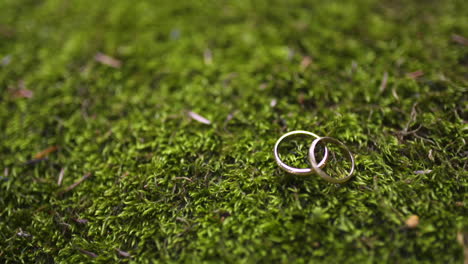 wedding rings on forest moss