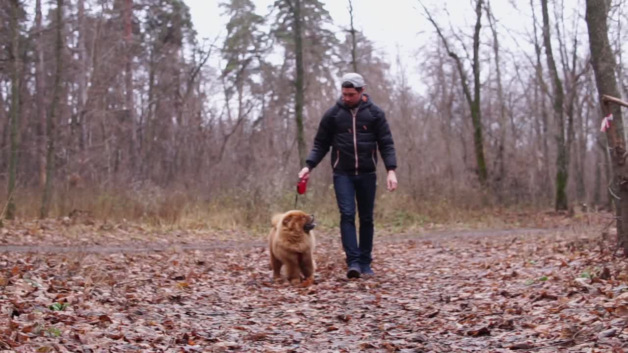 hombre caminando con un perro chow chow en un bosque