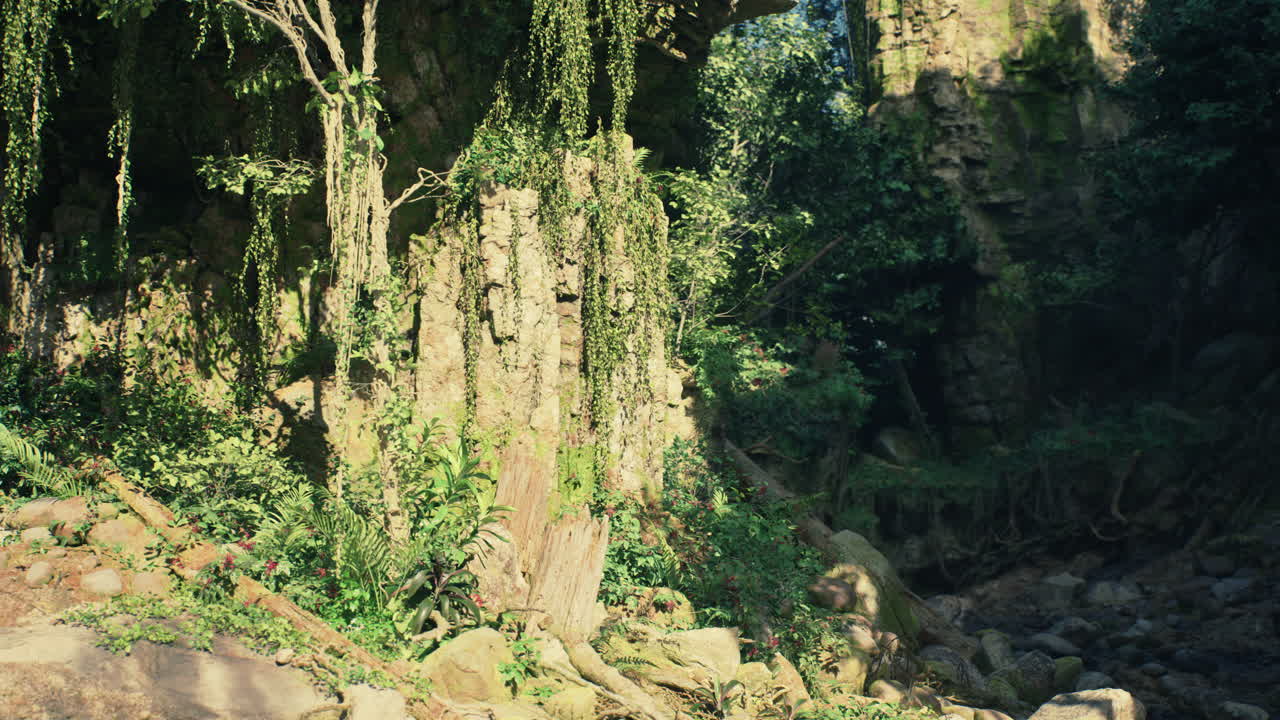 숨겨진 동굴이 있는 울창한 정글