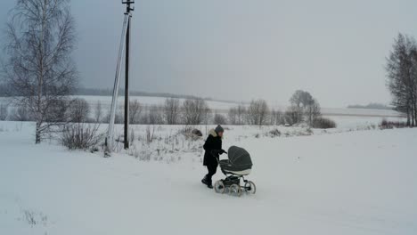 female in black jacket walk with baby stroller on snowy road, winter season