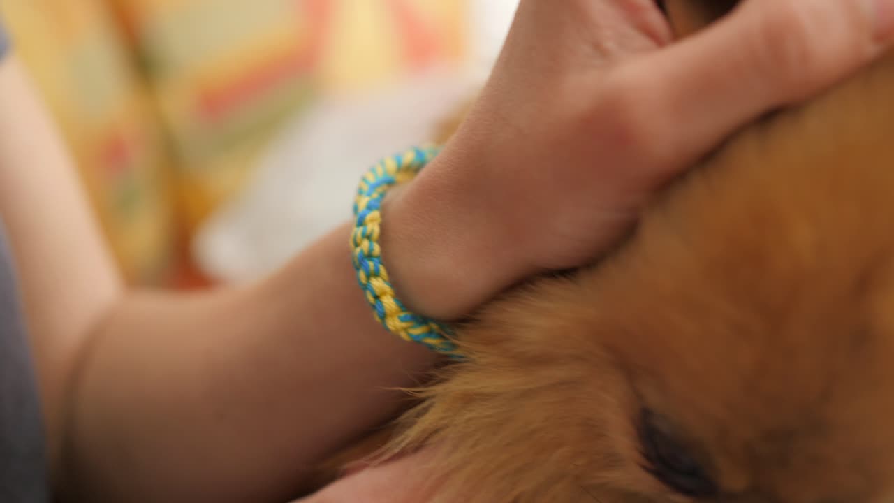 pulsera hecha a mano con colores ucranianos y un perro pomerania