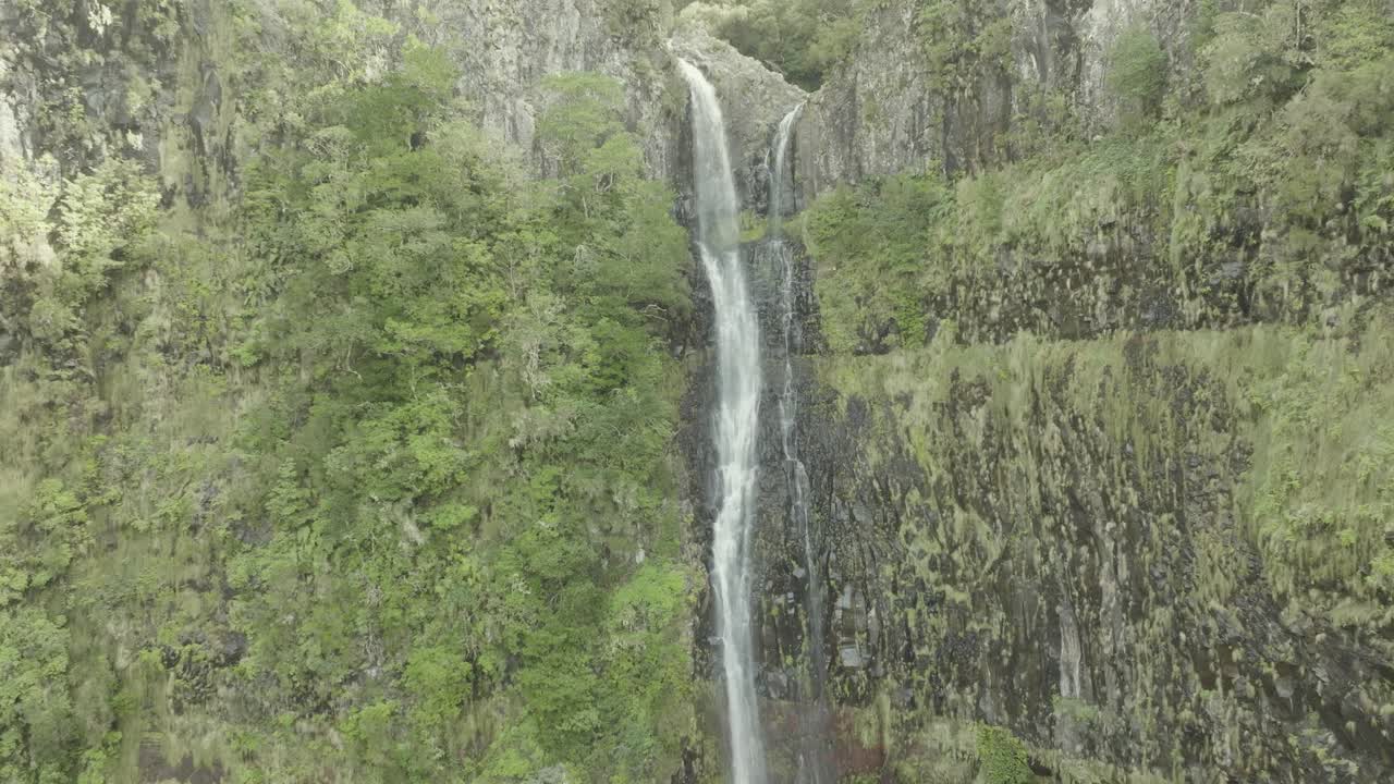fotografía central de un dron de una larga cascada en un bosque