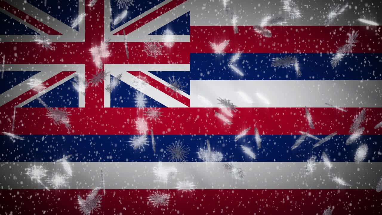 하와이 발이 눈을 내리고, 새해와 크리스마스 배경, 루프