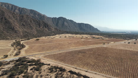 panoramic aerial view of vineyards in arid valley surrounded by andes mountain range