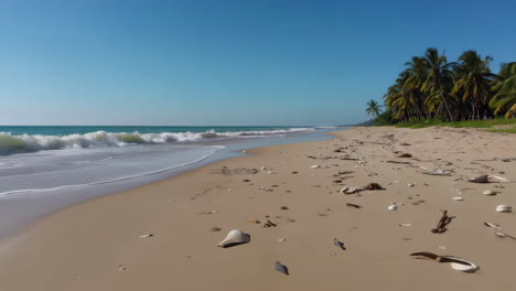 tropical beach with debris