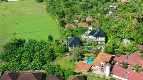 overhead aerial of beautiful residential villas in lovina bali indonesia surrounded by vast rice fields and farmland on sunny day