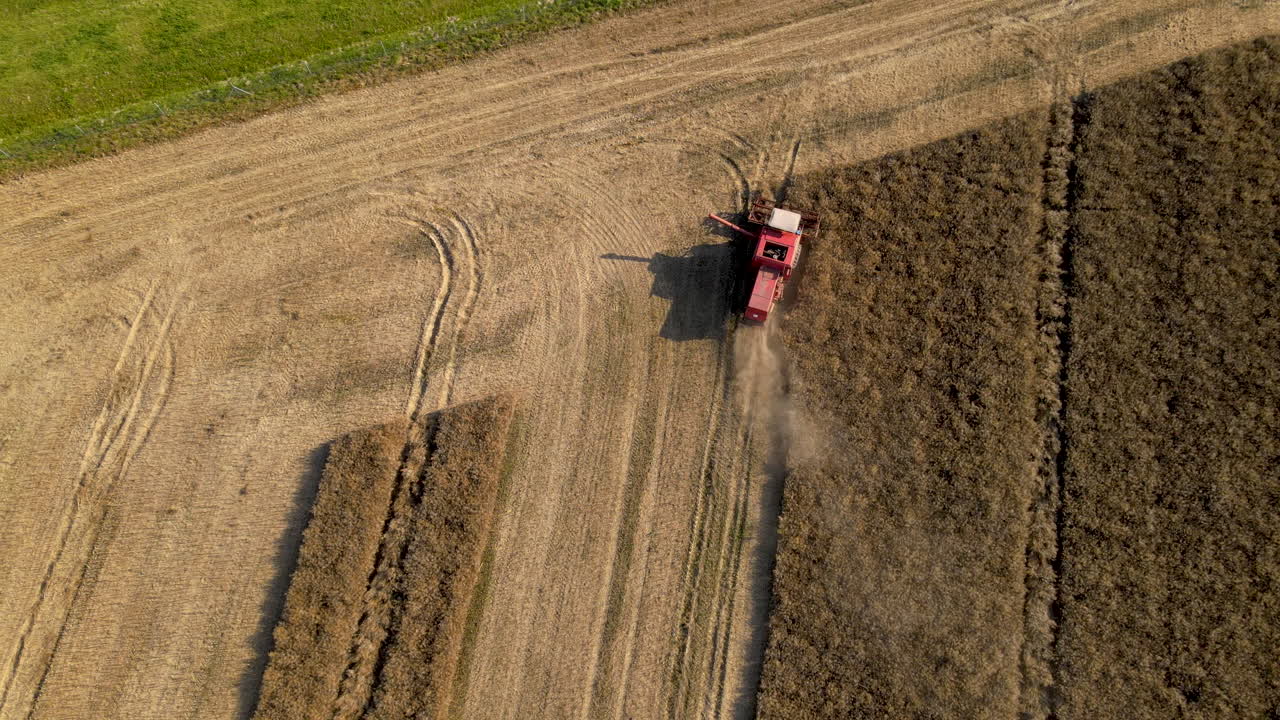 potente cosechadora moderna que recolecta trigo seco y polvoriento del campo durante el día soleado