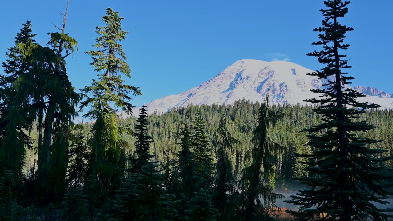 Aerial drone shot of snow-capped mountain peak rising behind lush evergreen forest under clear blue sky