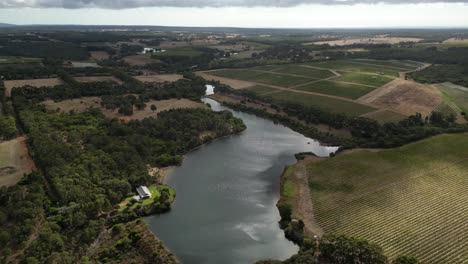 aerial panoramic view of vineyards along margaret river in western australia