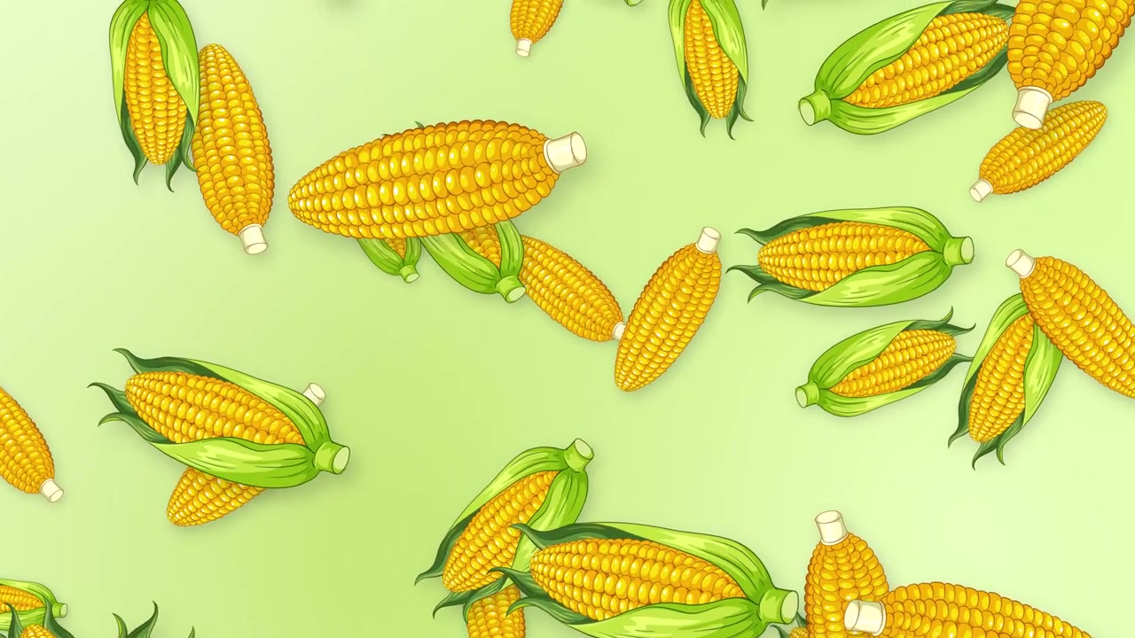 Stylized corn cobs fall and rotate against a soft green gradient background in loop.