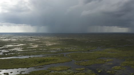 Excelente-Toma-Aérea-De-Una-Tormenta-En-Los-Everglades-De-Florida