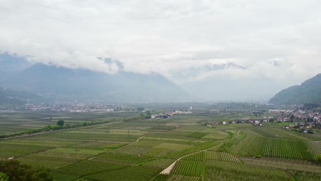 endless blooming apple tree plantation near small italian towns and mountains, aerial view