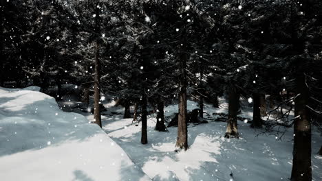 snowy winter forest