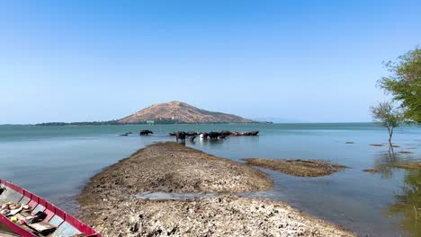 boats by a river with distant hills