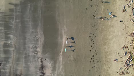 amigos caminando por la playa con tablas de surf proyectando sombras