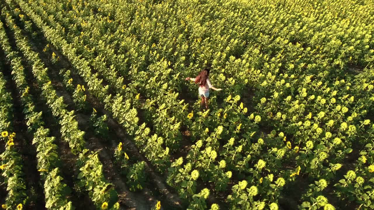 mujer feliz y libre dando vueltas en el campo de girasoles