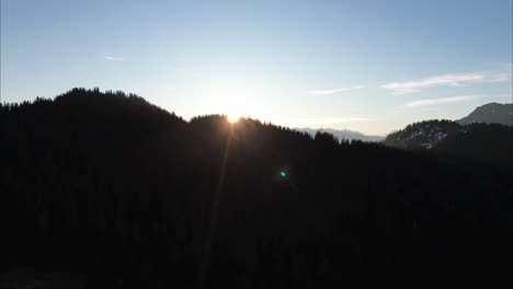 Drone-slowly-fly-above-Pine-Forest-and-Reveals-Sunrise-behind-Snow-Covered-Summits