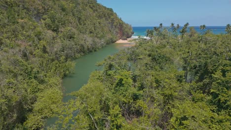 dense rainforest around san juan river on the coastline of samana in the dominican republic