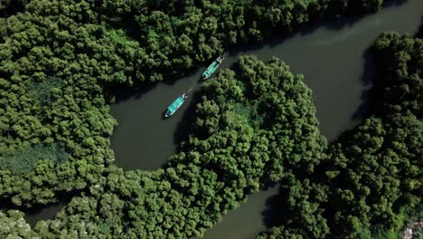 Aerial-birds-eye-descending-over-boats-in-mangrove-forest