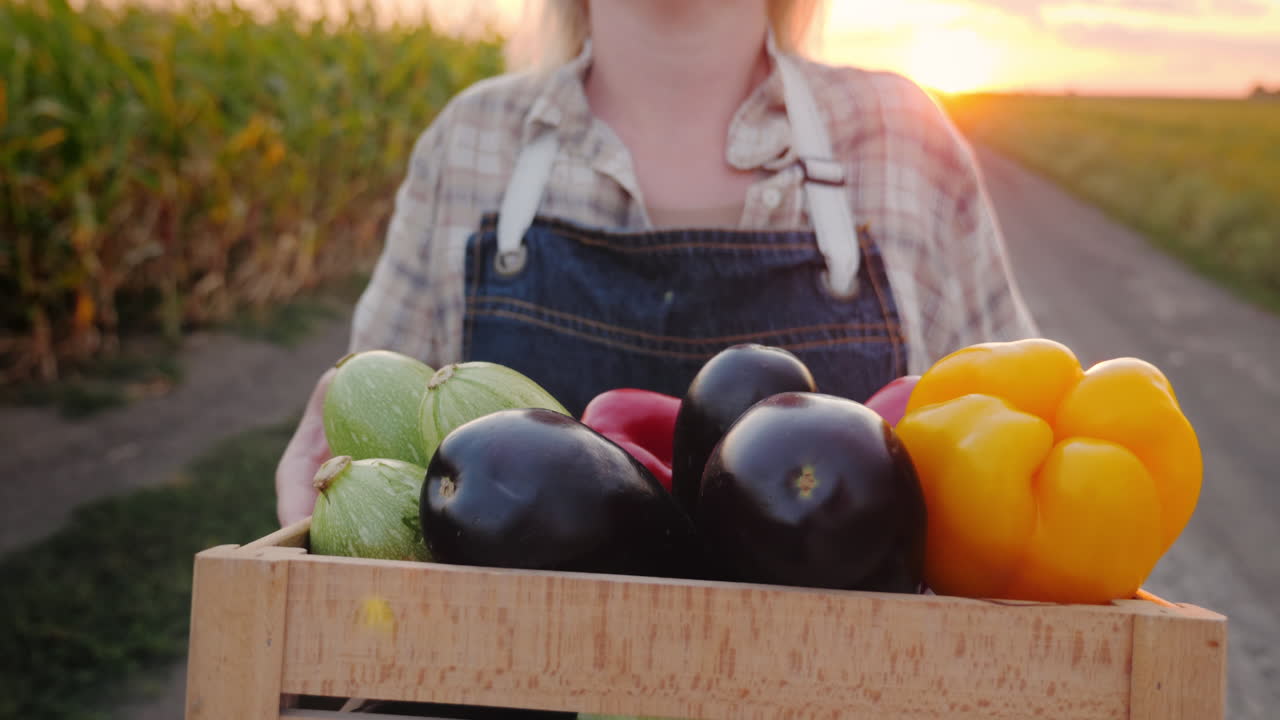 agricultor llevando una caja de verduras frescas al atardecer