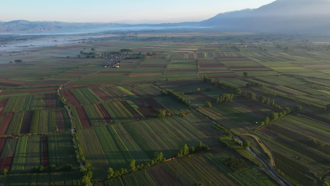 안개로 뒤인 은 해가 뜨는 첫 빛으로 조명되어 농경지를 강조합니다.