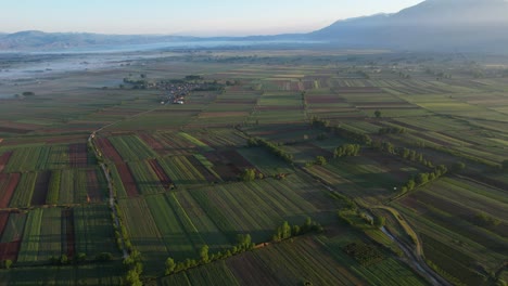 Field-Shrouded-in-Mist-Illuminated-by-Sunrise's-First-Rays,-Highlighting-Agricultural-Parcels