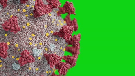 estructura de primer plano extremo del virus covid-19 en el microscopio electrónico sin costuras. animación en 3d en bucle del coronavirus 2019-ncov adn en pantalla verde concepto médico aislado.