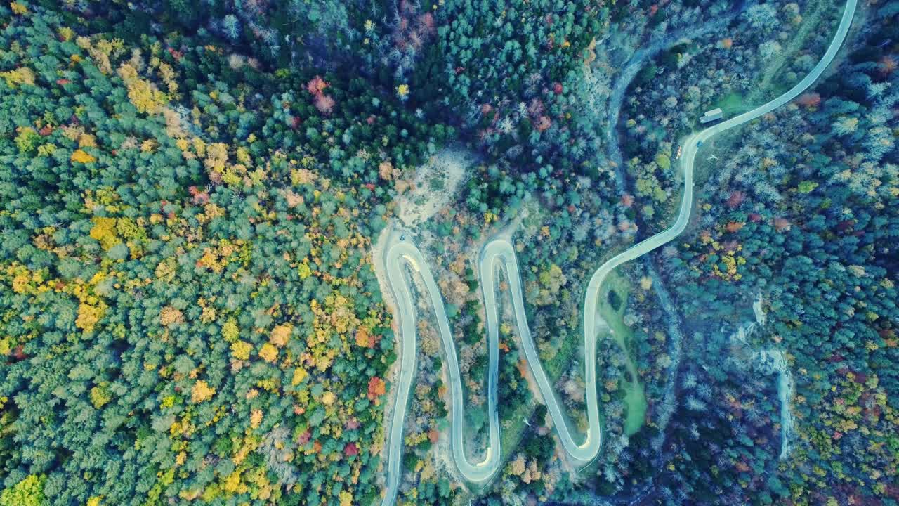 increíble vista de avión no tripulado de la carretera en las montañas cubiertas de exuberante follaje de otoño