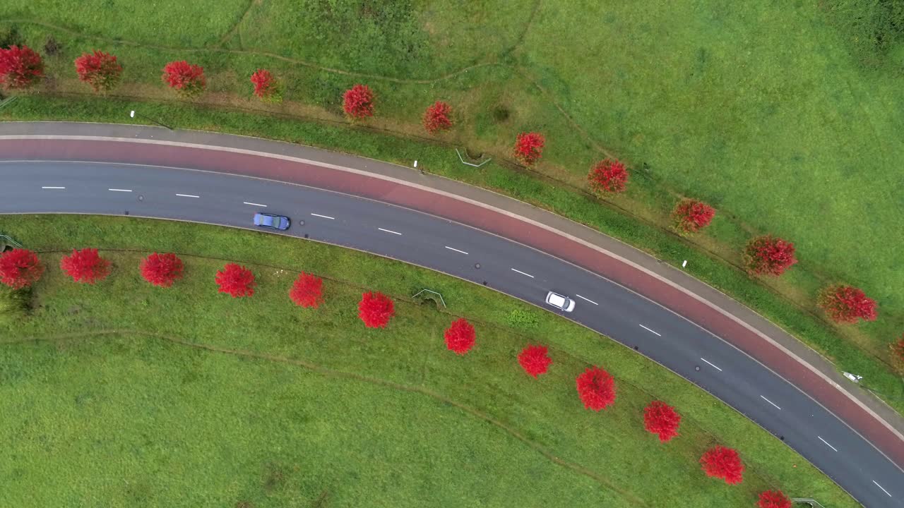 독일 보훔의 붉은 나무 사이의 곡선 도로에서 운전하는 자동차